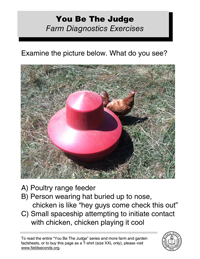 You Be The Judge (Item 3)