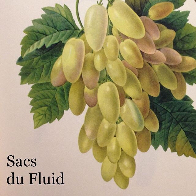 From &quot;Common Names of Botanical Specimens,&quot; ed. by The Immature Botanists Society. #immaturebotanistssociety