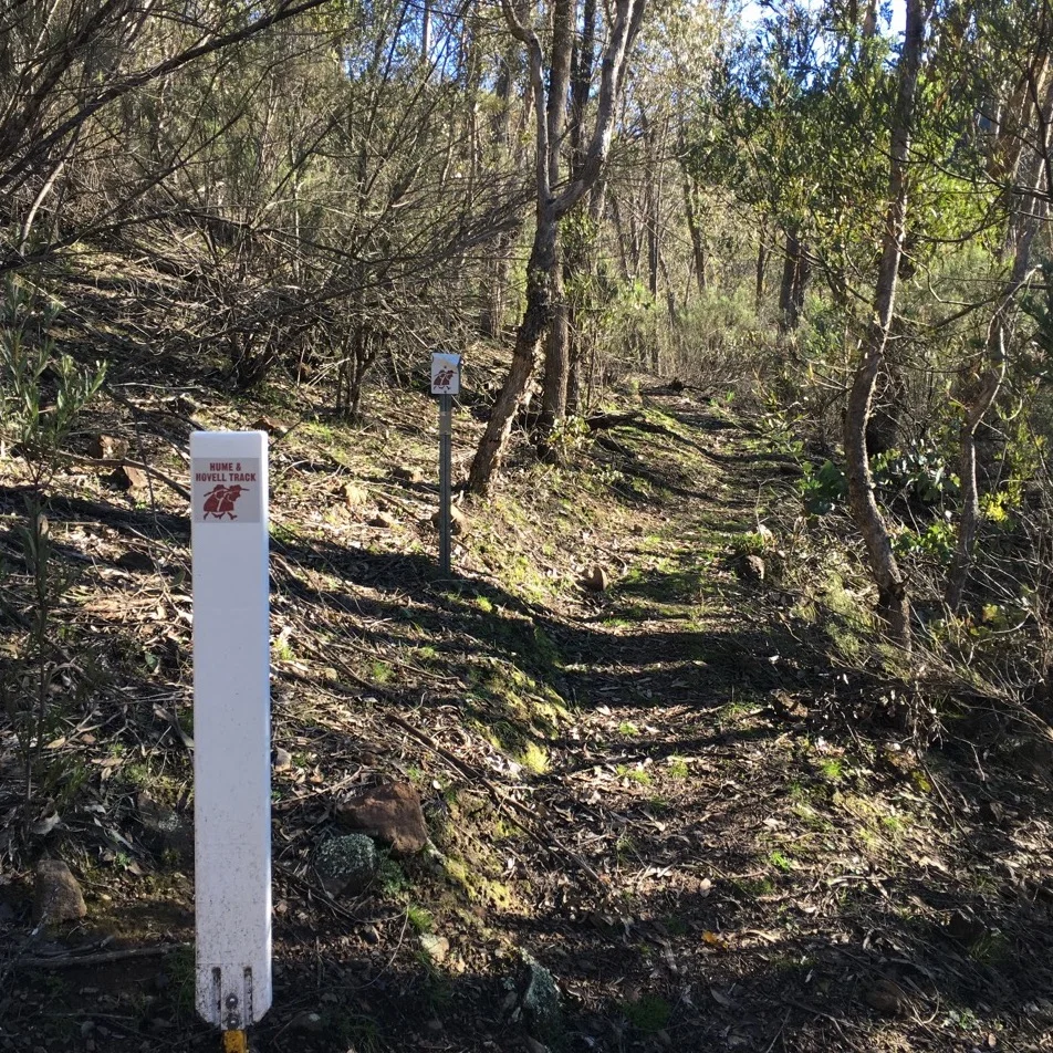 HH Track - 208.jpg
