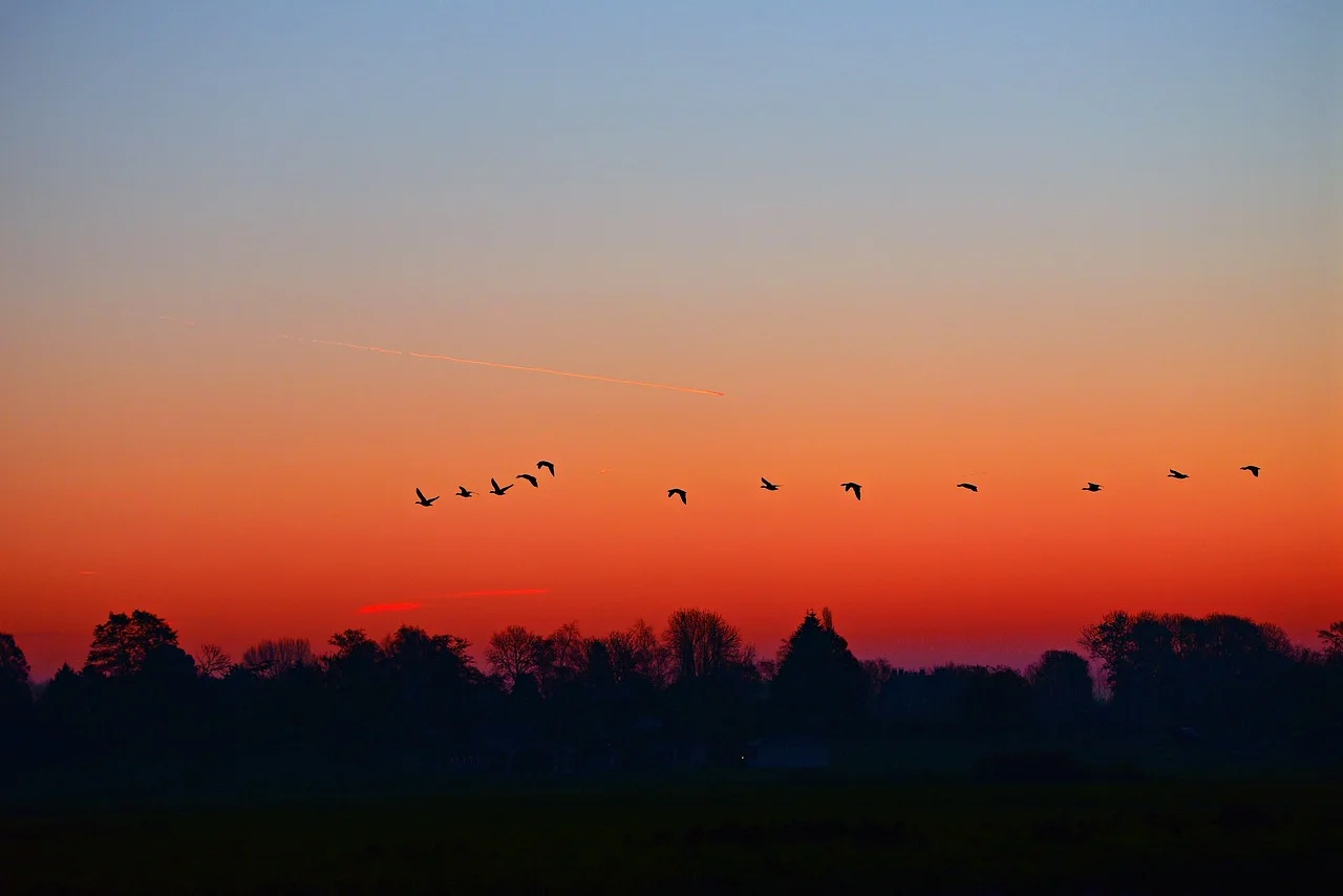 dawn-3846778_1280.jpg