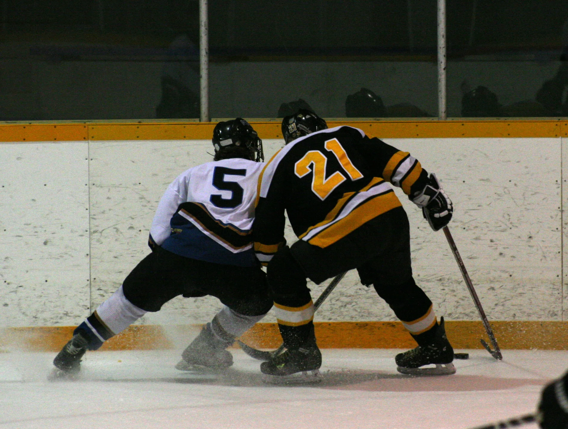 IMG_7377.jpg