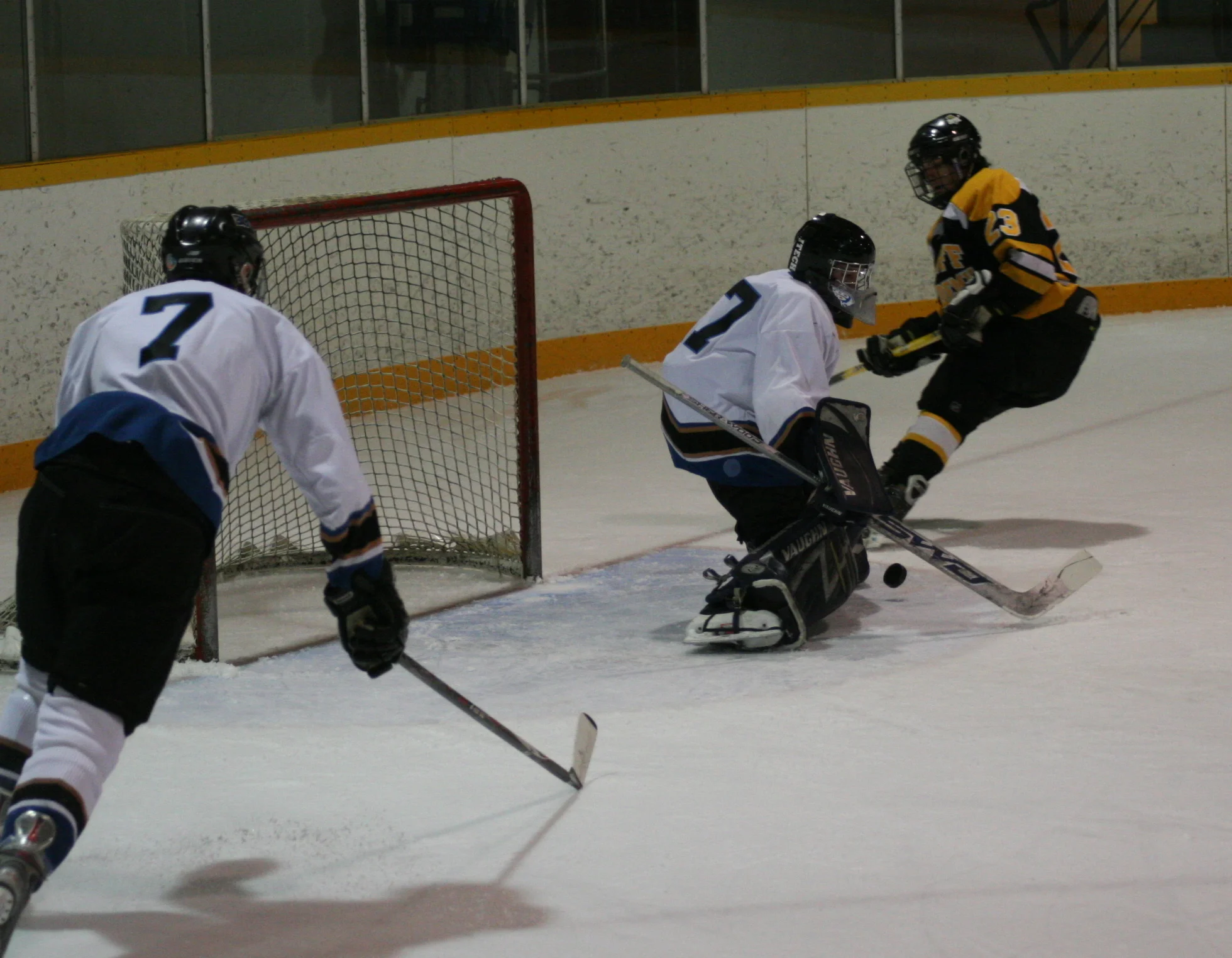 IMG_7273.jpg