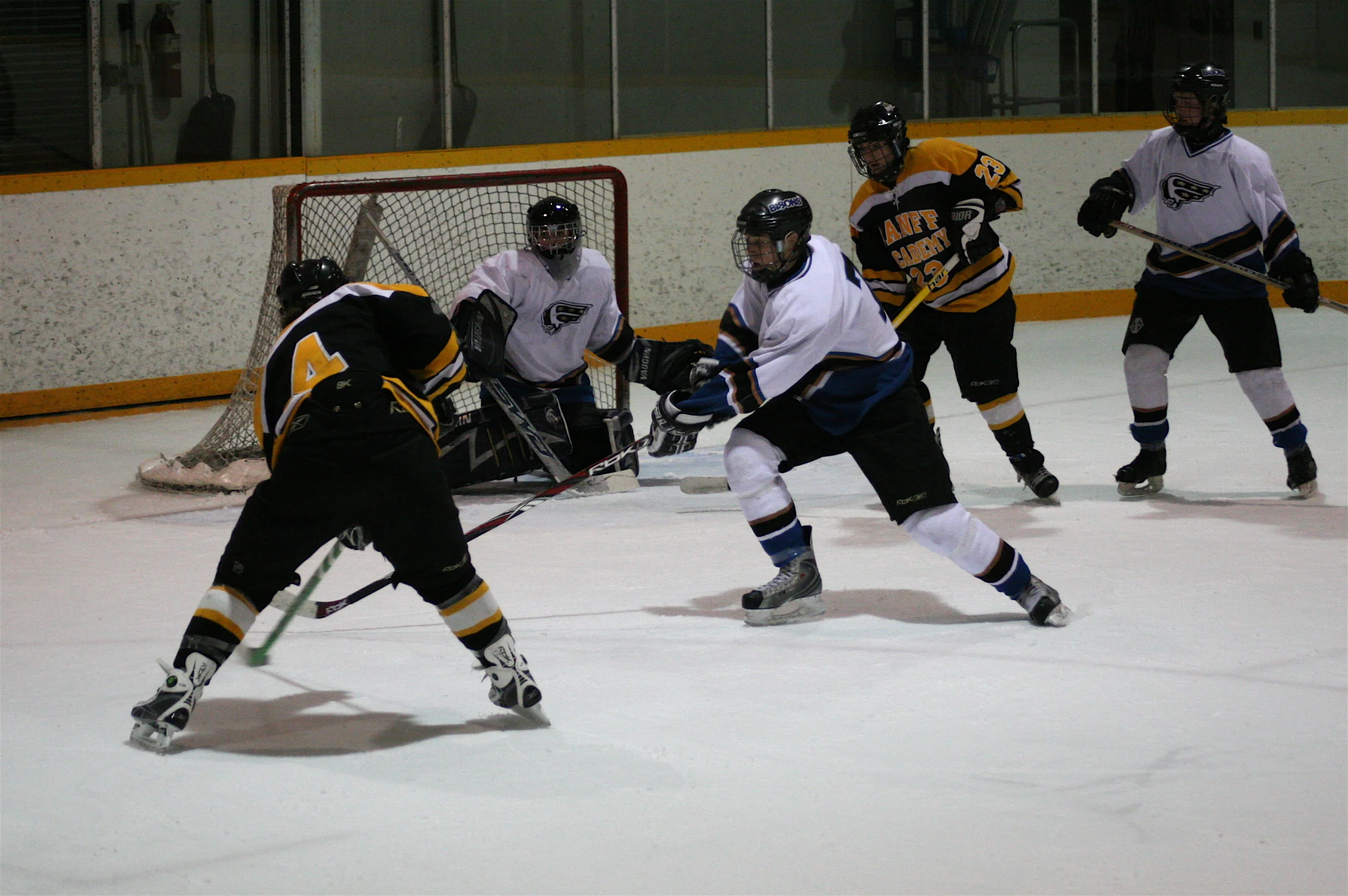 IMG_7337.jpg