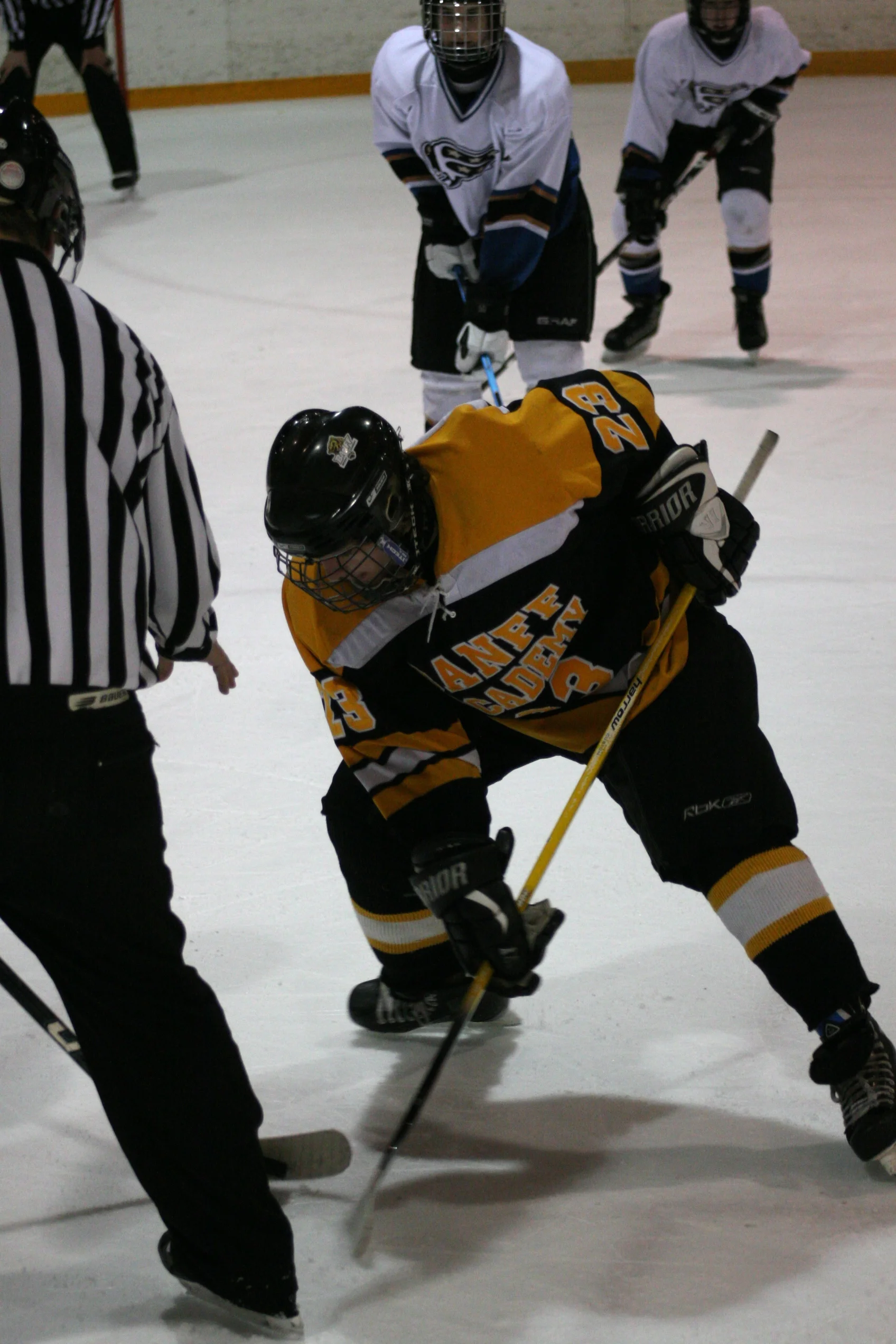 IMG_7313.jpg