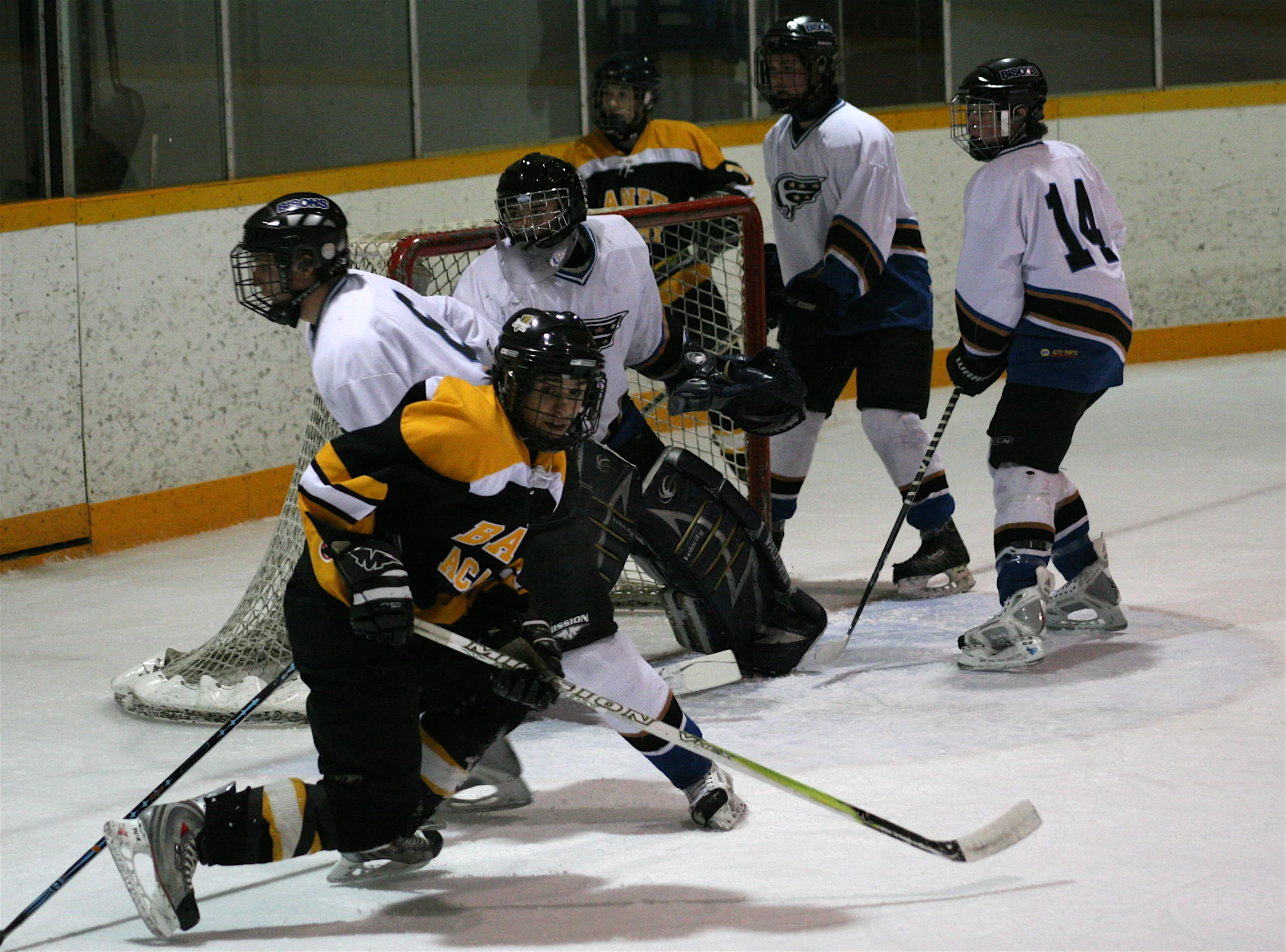 IMG_7278.jpg