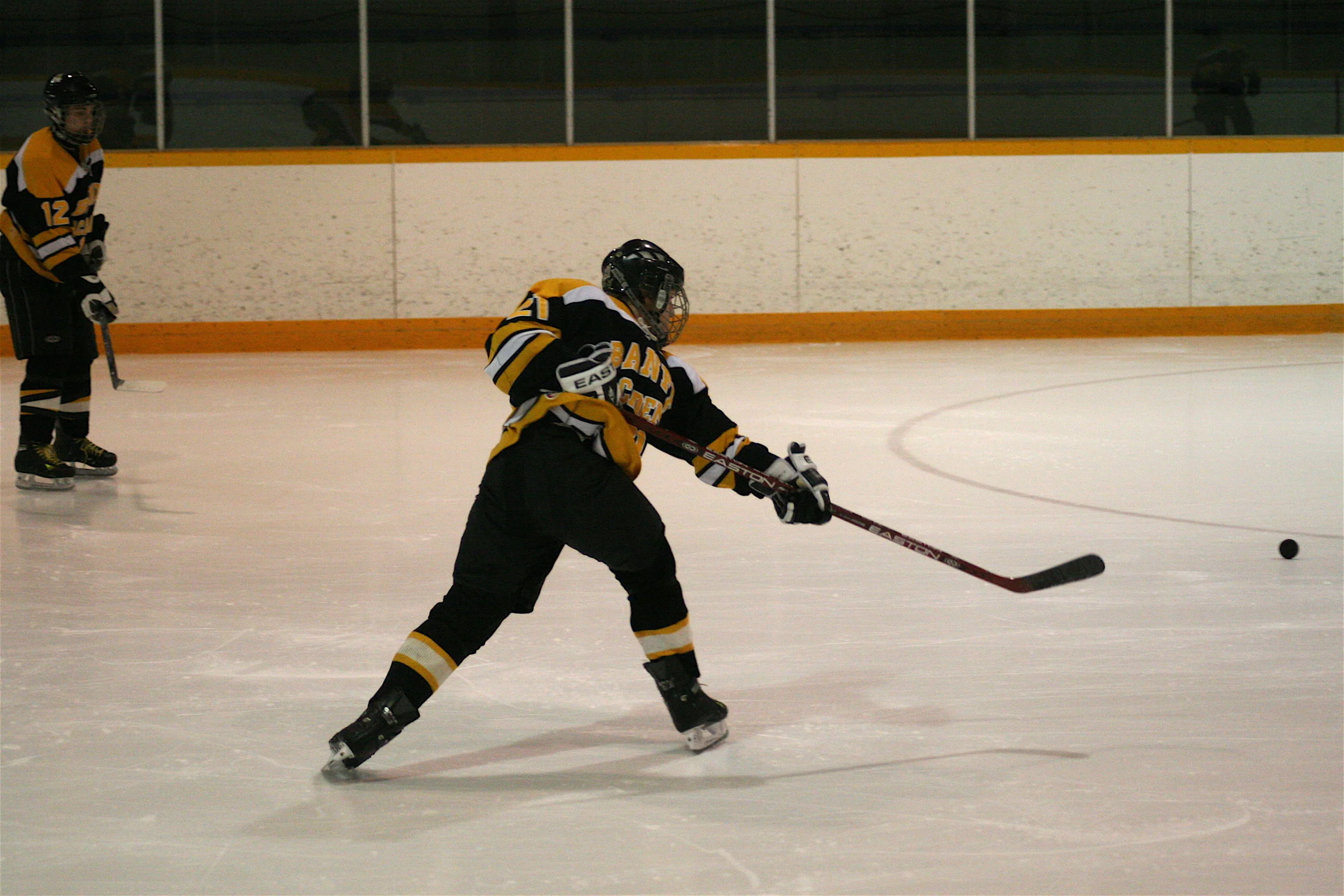 IMG_7229.jpg