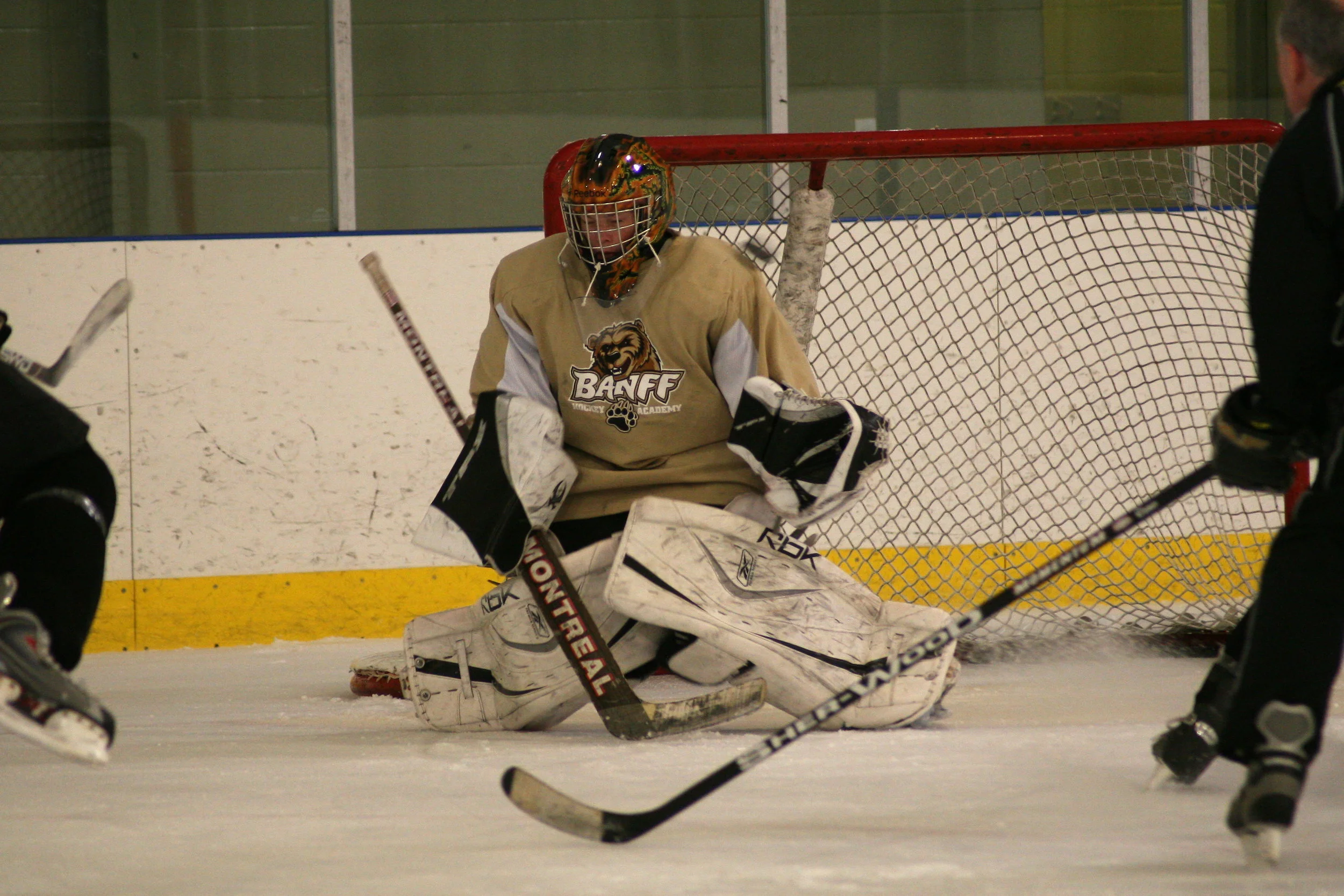 IMG_3419.jpg