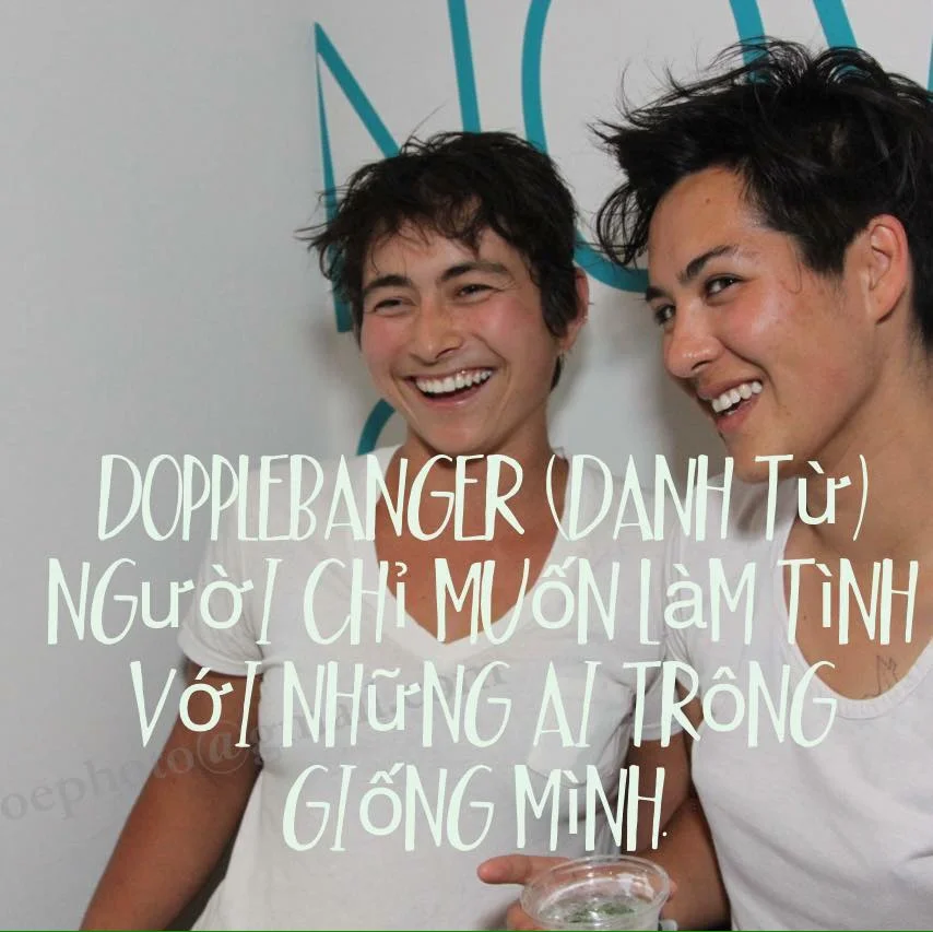 Images circulated with English to Vietnamese translations from the original Lesbian Lexicon Project.