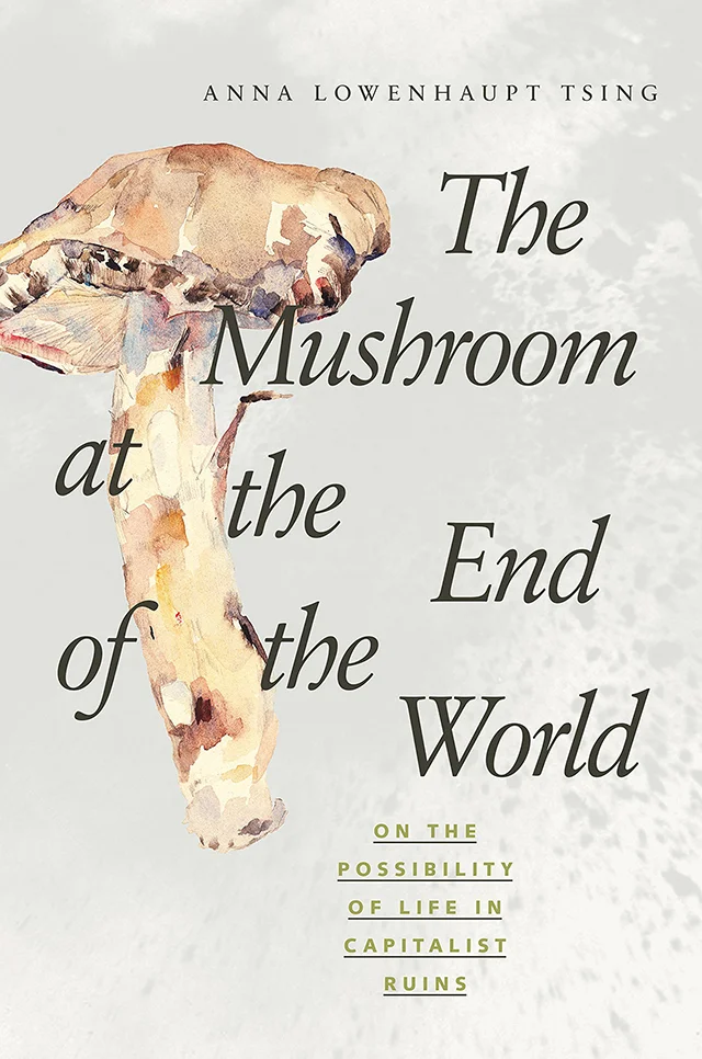 tsing-mushroom-at-the-end-of-the-world.jpg