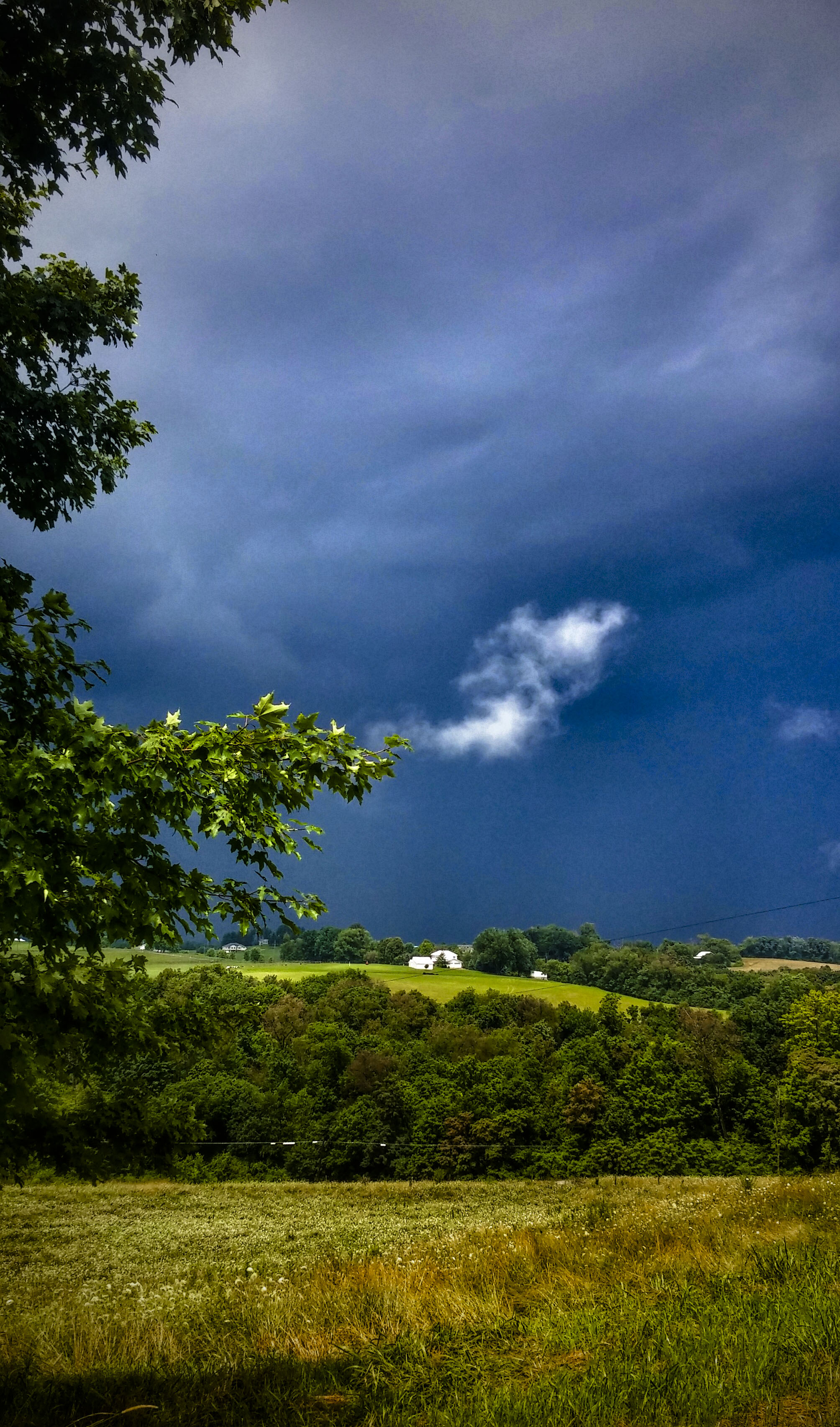 A country farming landscape. I loved the play of light, dark sky and deep hues. So much I pulled my car over to capture this on the only camera I had handy-- my cell phone.