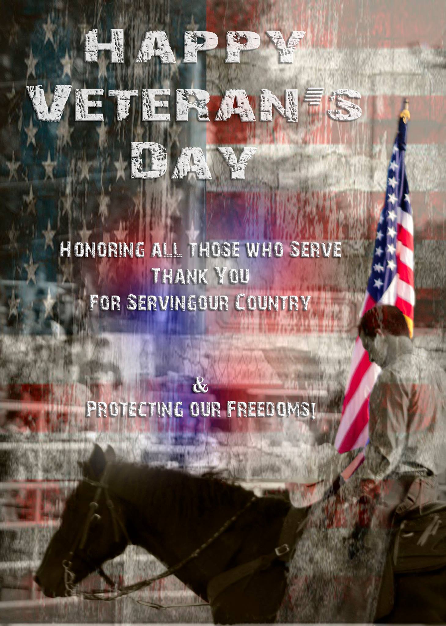 A Veteran's Day social media post image. 