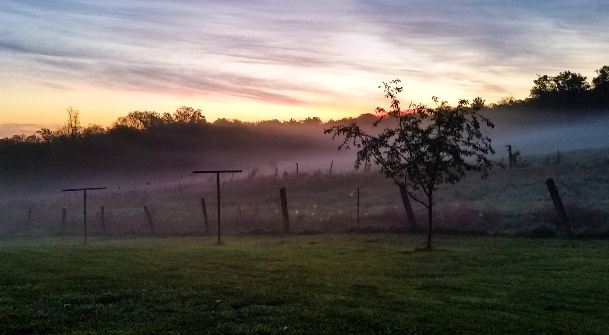 A Country Morning