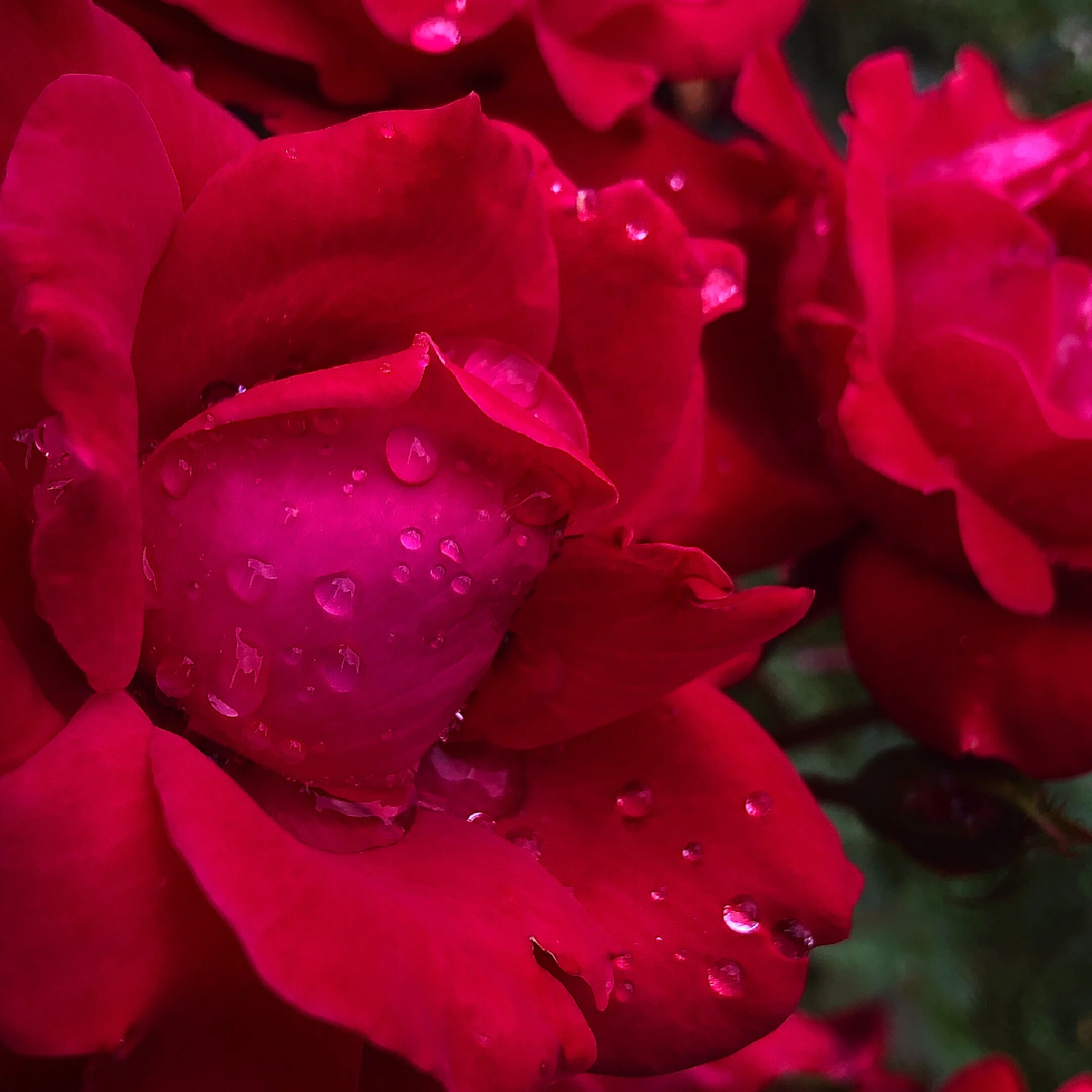 7AB404E8-268F-4BE3-A43E-027CC8301A5D.jpeg