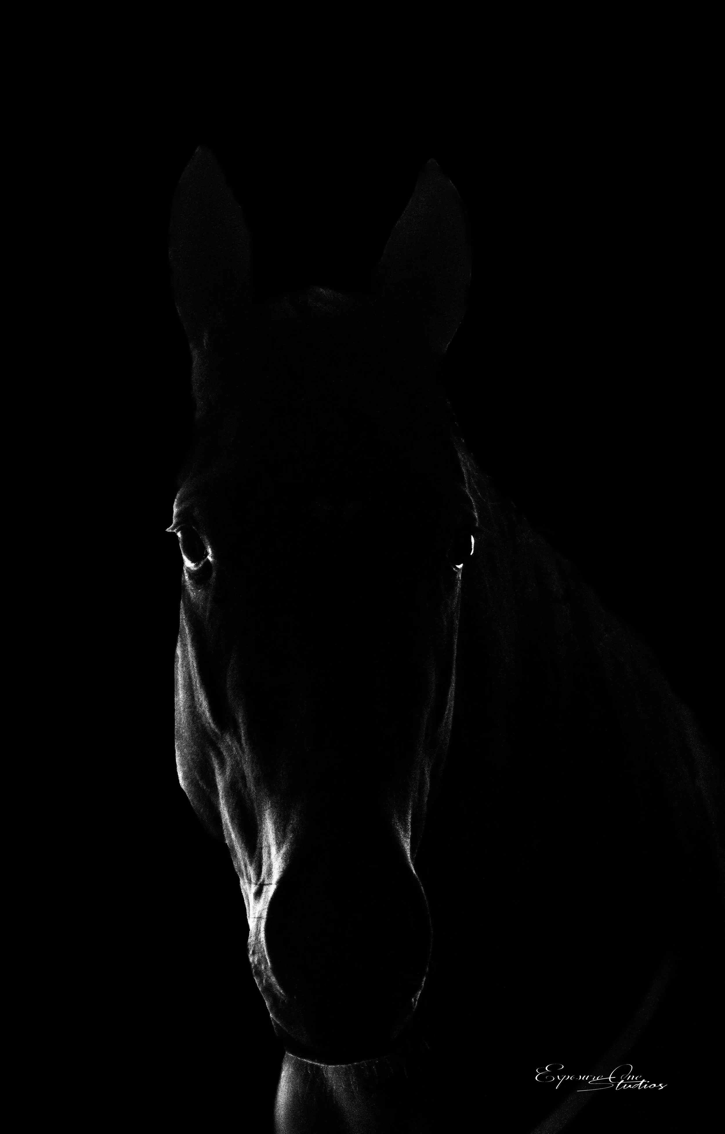 Before &amp; After: Making a Vision Come to Life