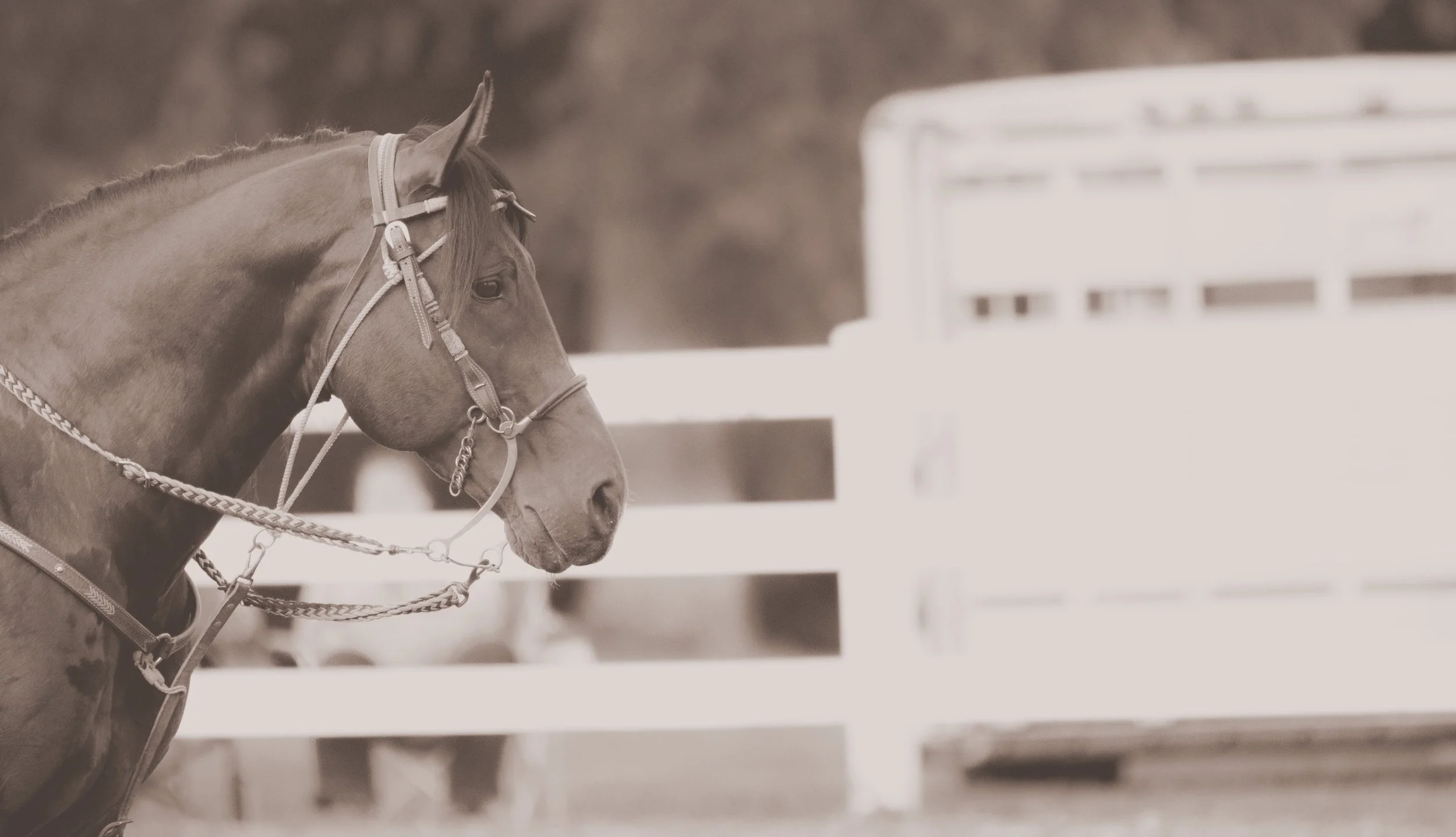 First Barrel Race of the Summer