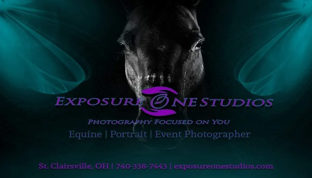 Sponsoring Fun Shows