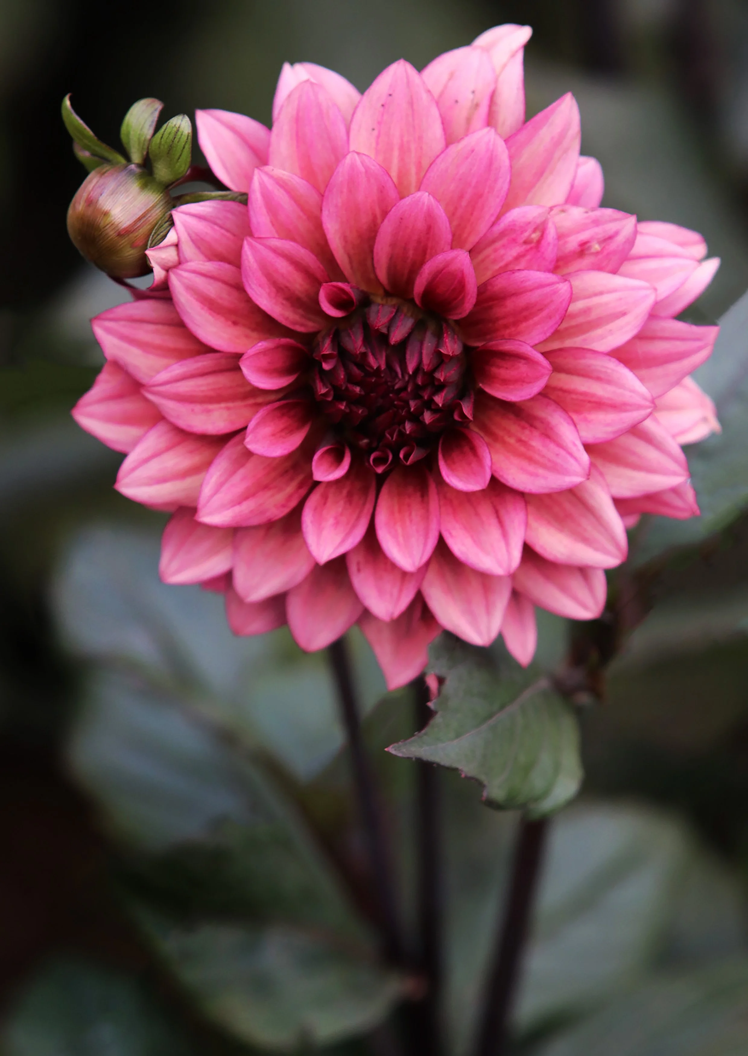Photography Quote