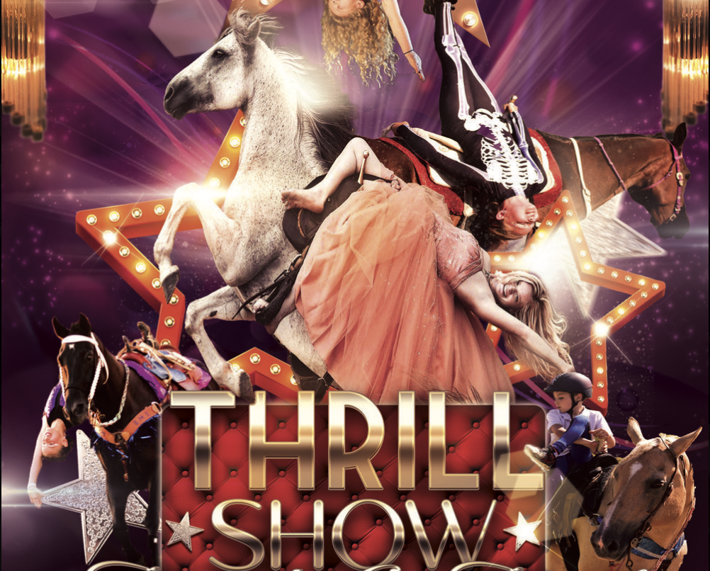 Hiring A PRO to Make Equine Ads