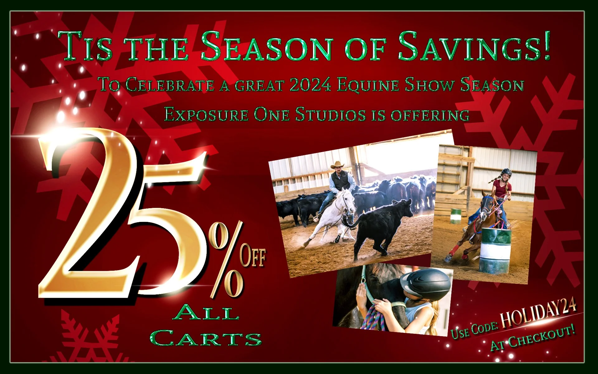 Limited of Time Only! 25% off everything in your carts! Ends 12/31.