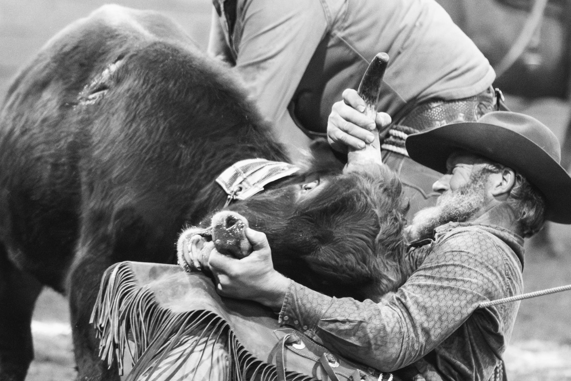 Why Some Images Stay With Us — A Reflection on Goal Images That Have Won Awards