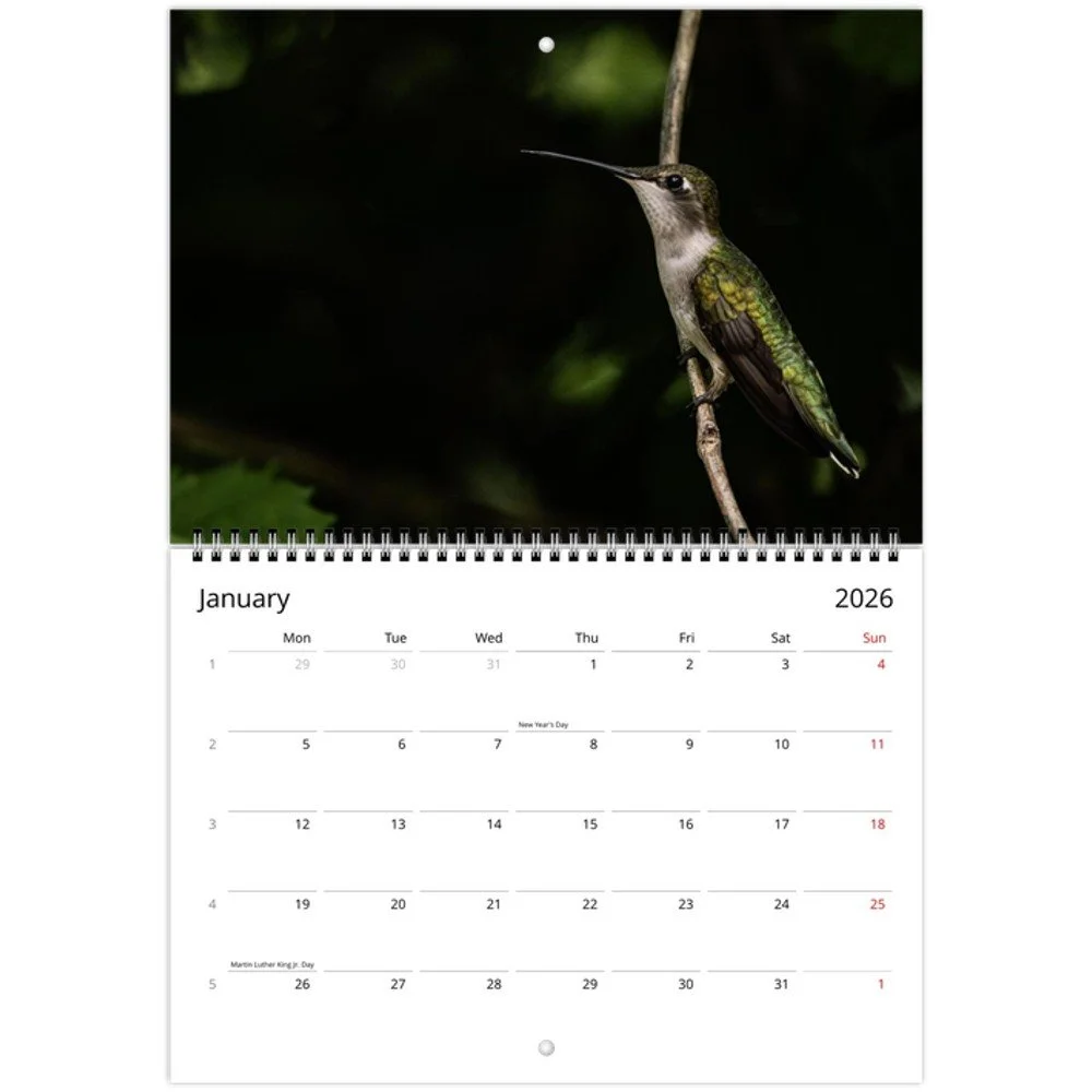 tmp-160-MgYTZcancIMT