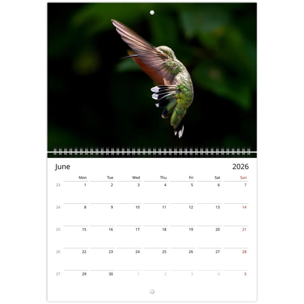 tmp-160-R9LfLLR4SeDW