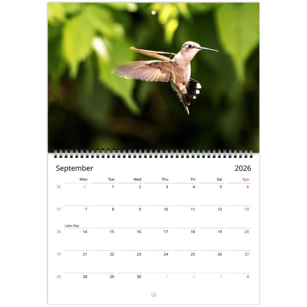 tmp-160-BxhPFQP3rmCx