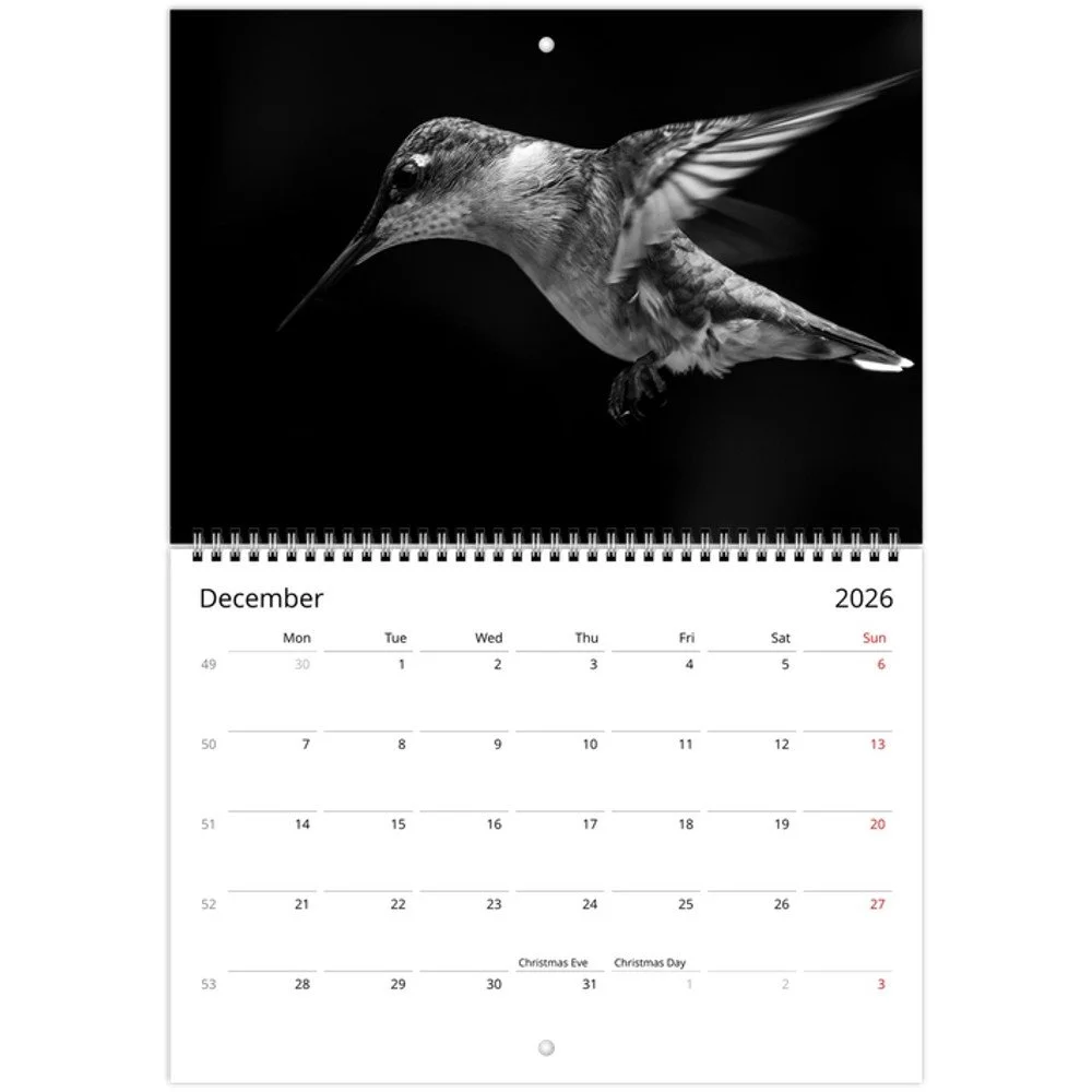 tmp-160-tytd5XmhKTCF