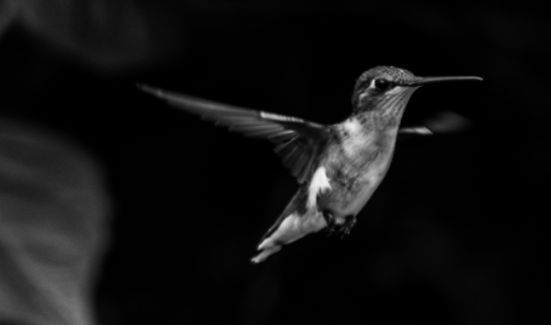 In Flight