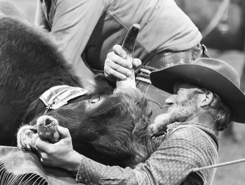 Wrong Lens, Right Moment: Why the Best Shot Isn’t Always the “Perfect” One