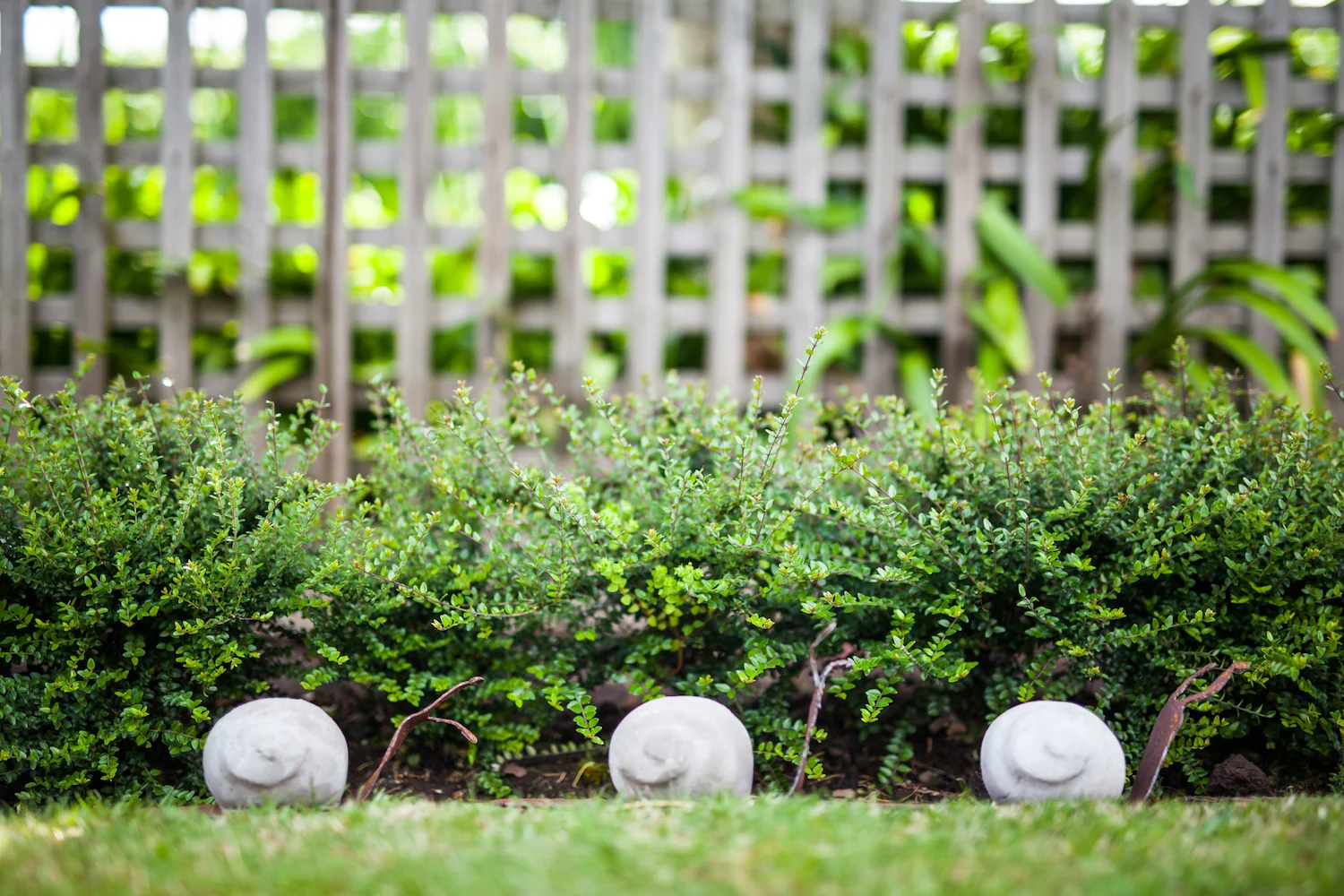 garden art 15 BANNER.jpeg