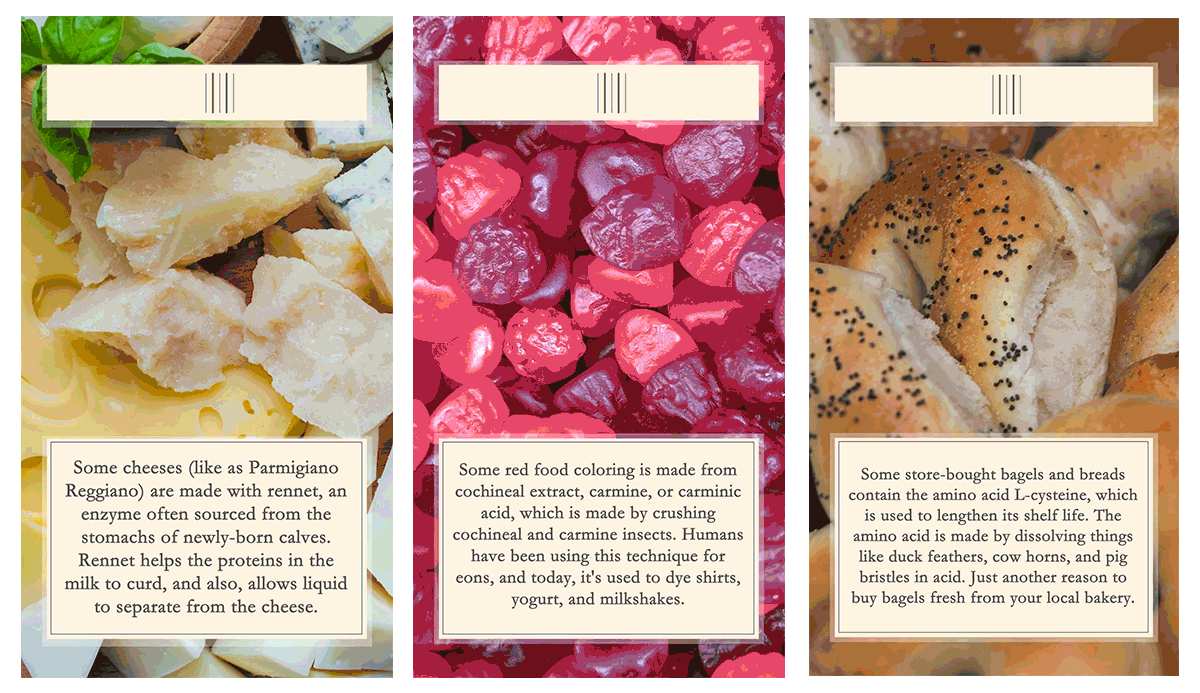   Surprising Animal Products Lurk in Your Favorite Foods        