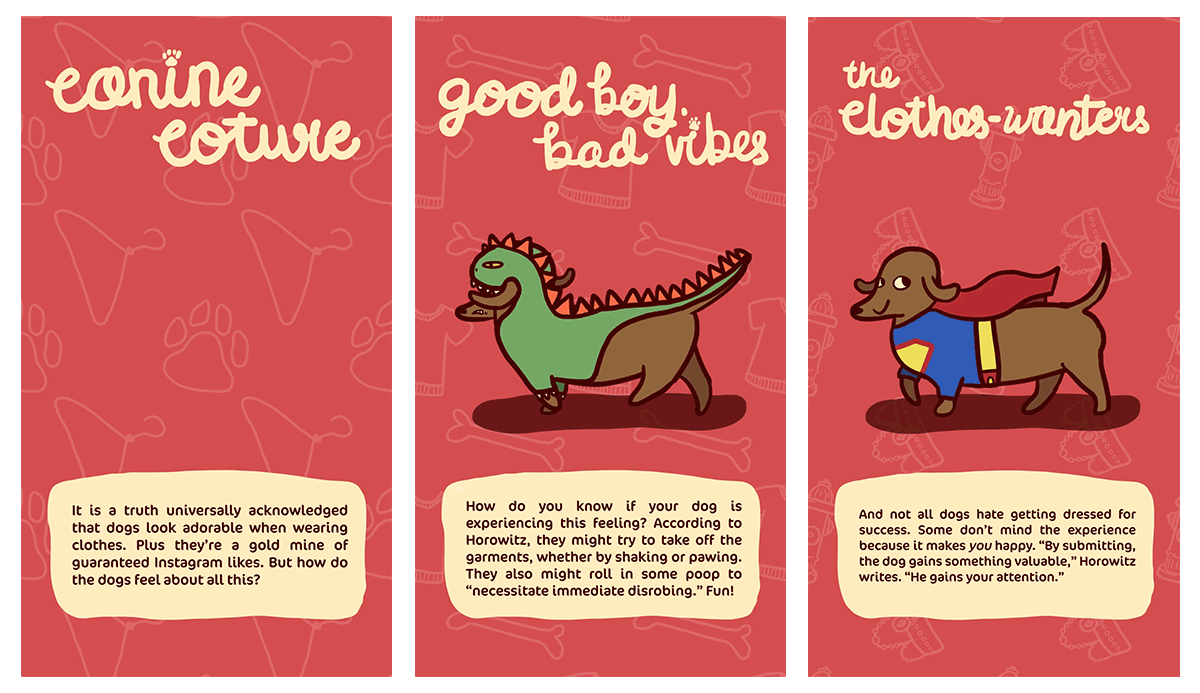   Do Dogs Like Wearing Clothes?        