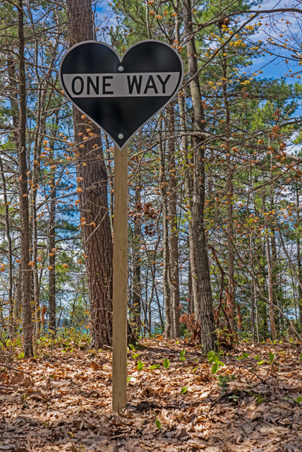 oneway.jpeg