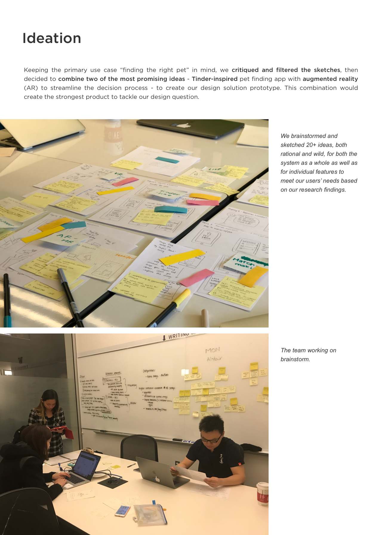 furever pal_ideation.png