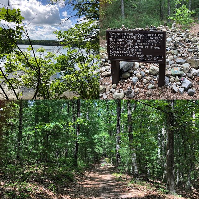 The site of Thoreau&rsquo;s cabin ❤️ Thanks to my Harvard colleague for the walk around Walden Pond. #boston #thoreauscabin #massachusetts #waldenpond