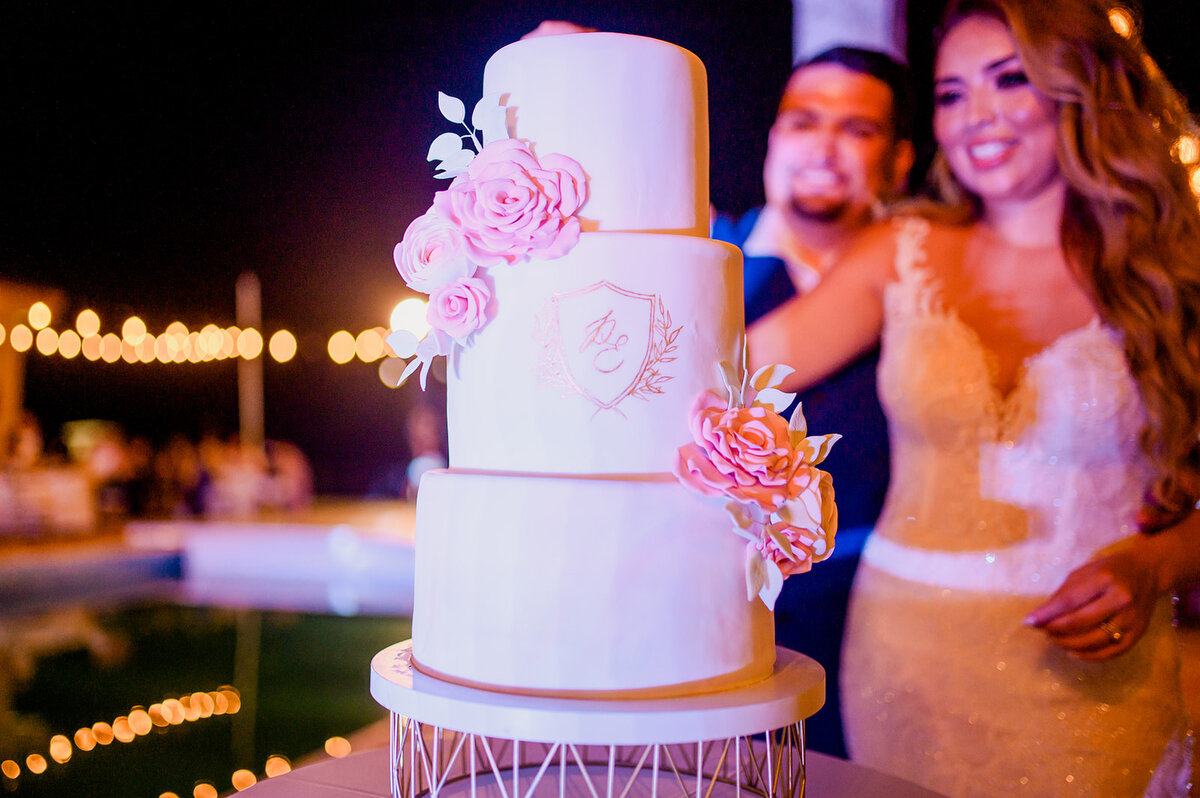 2021-Wedding-Cake-Trends-Villa-la-Joya-Weddings-008.JPG