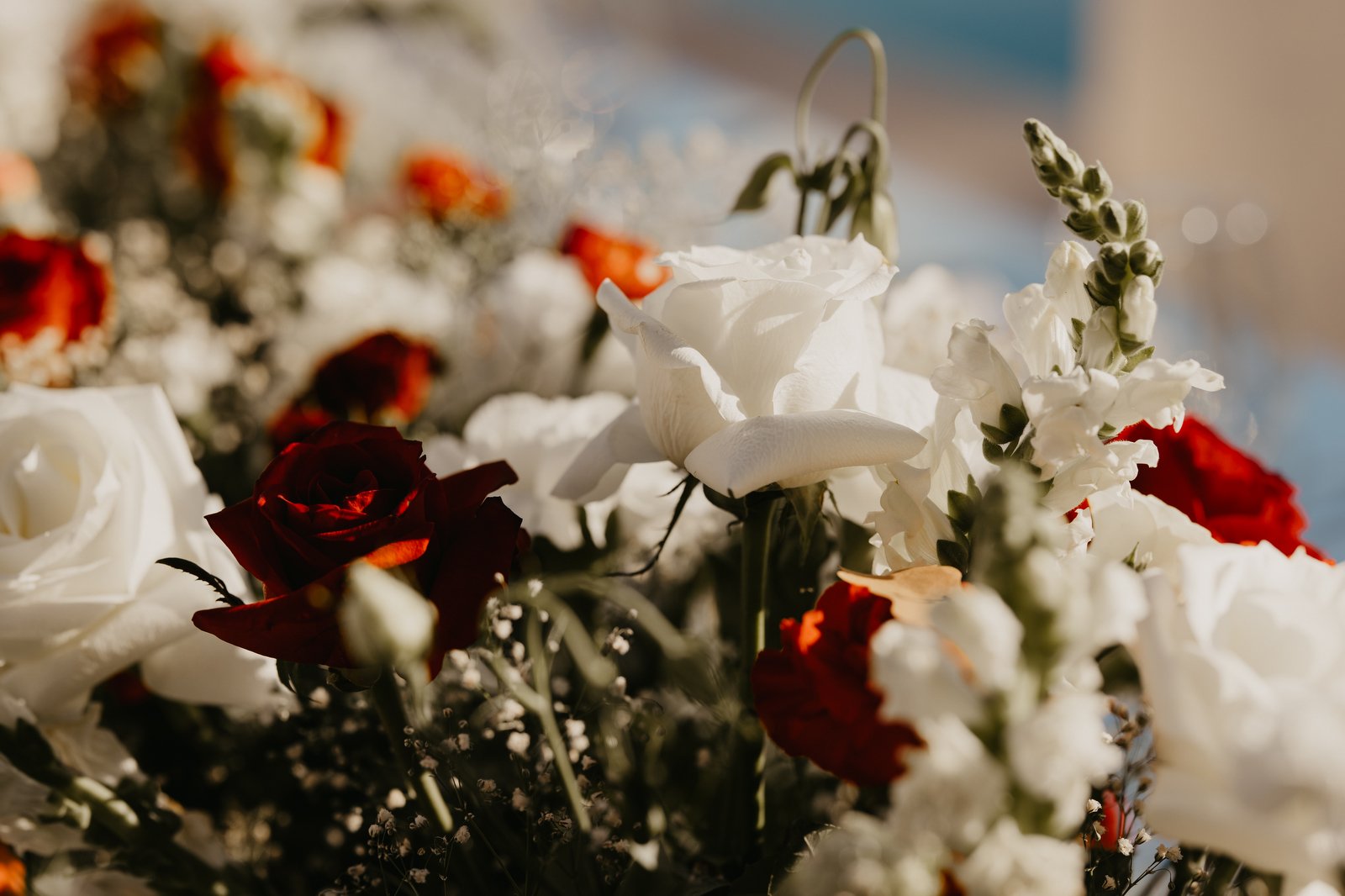 Romantic-Riviera-Maya-Wedding-at-Villa-La-Joya-L-N-047.JPG