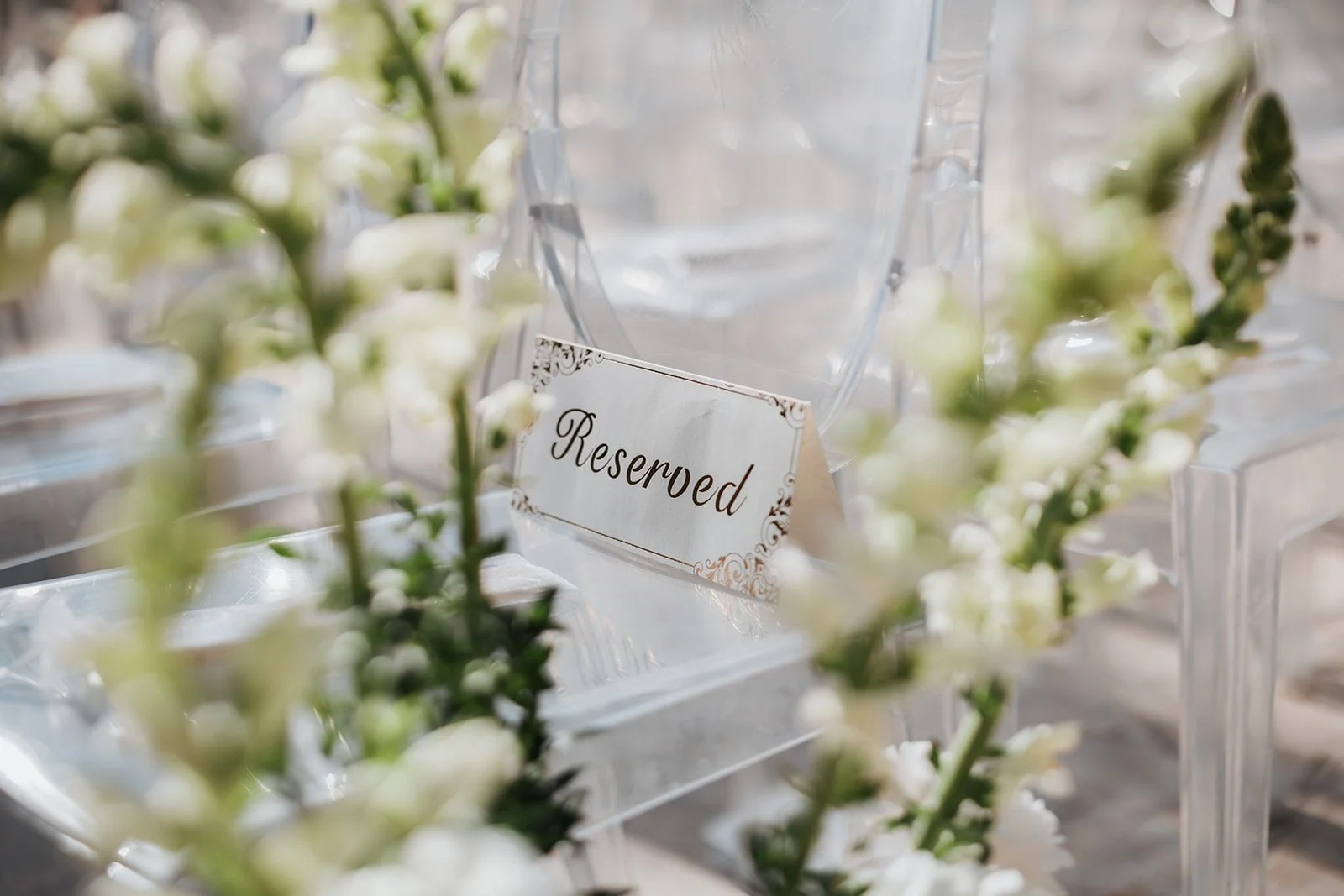 Elegance Photographie-373.JPG