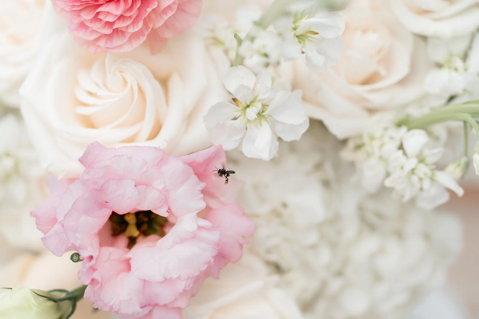 Sujin&Chris318A.JPG