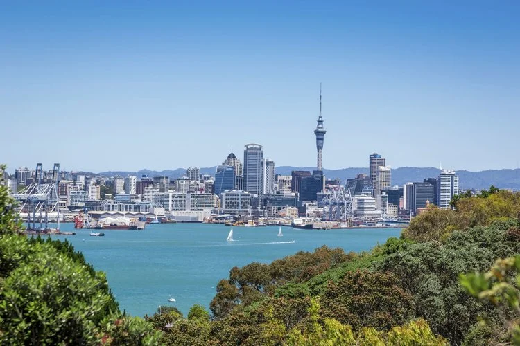 Auckland Main.jpeg