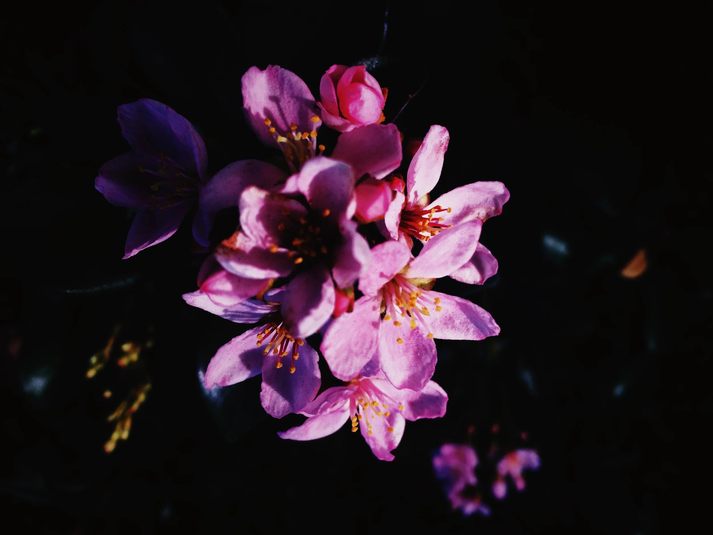 8D4C0765-9FF6-4D80-BFCE-C6596D34E8FF.jpg