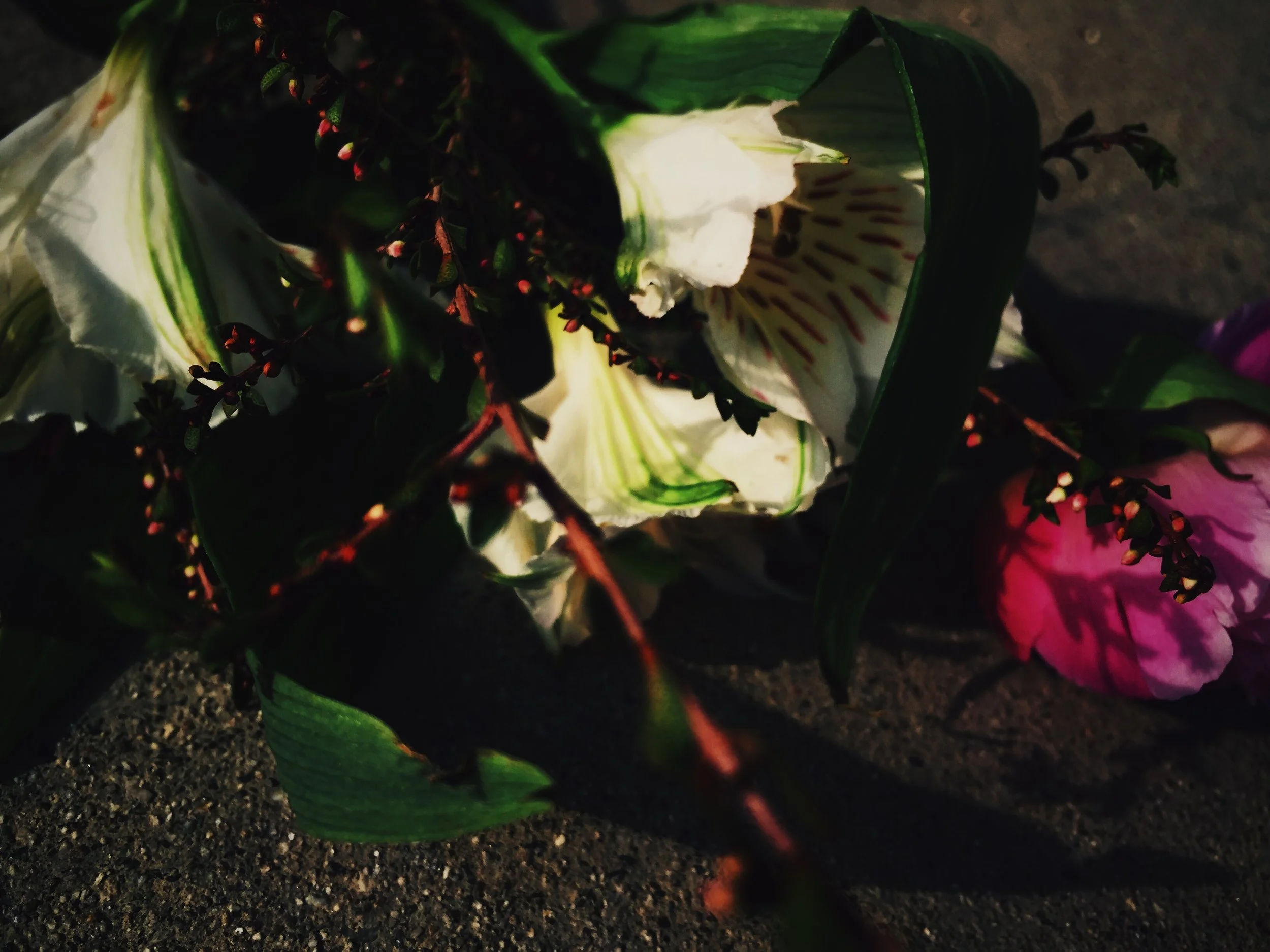 5A07A224-964F-42D0-966A-7B7BCF2D5DF6.jpg