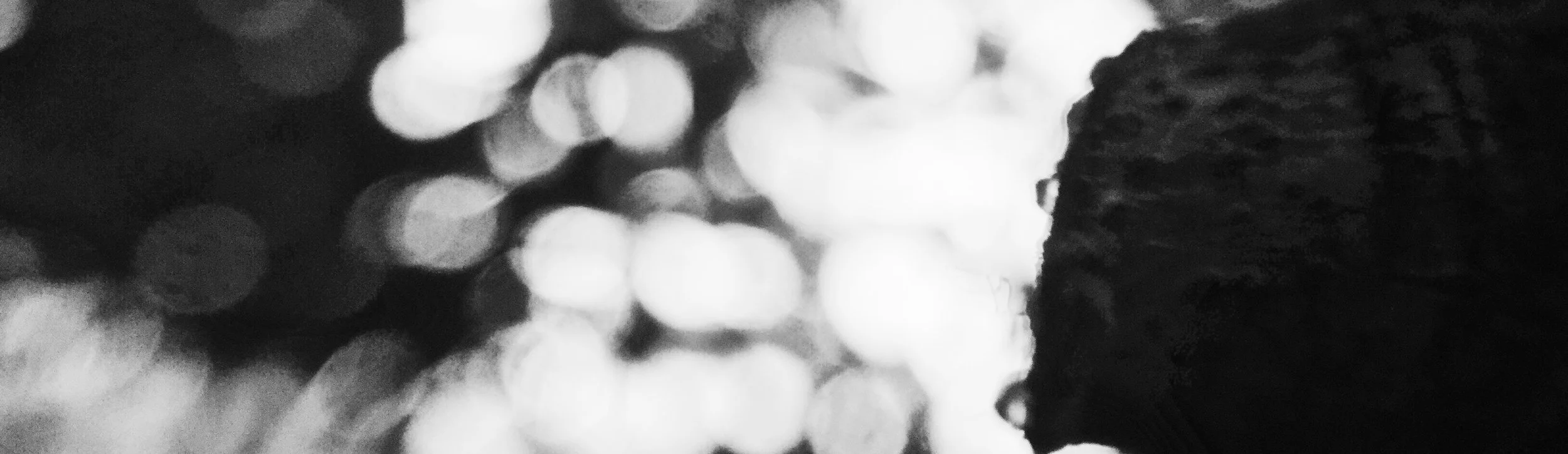 B82DF369-70B6-4369-8003-D303BDD7275C.jpg