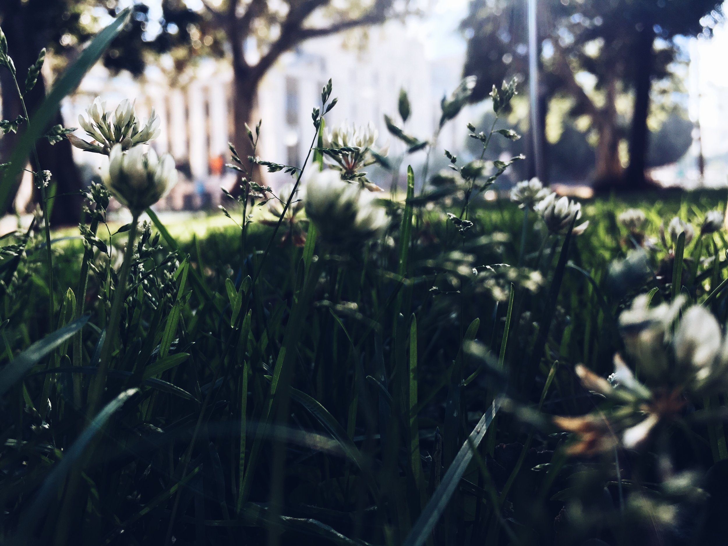AD3D04A7-942B-464F-A3E4-341840BFBF16.jpg