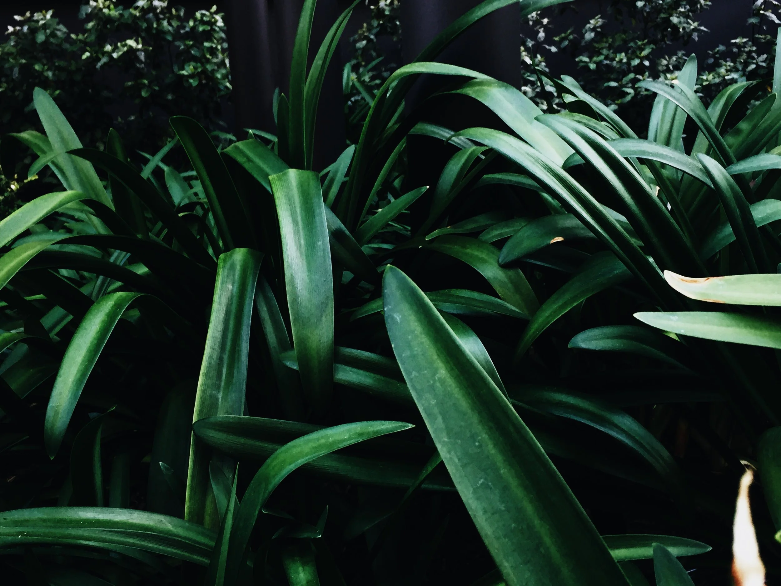 85A72C67-AFE5-4524-A63A-823D600BC37E.jpg
