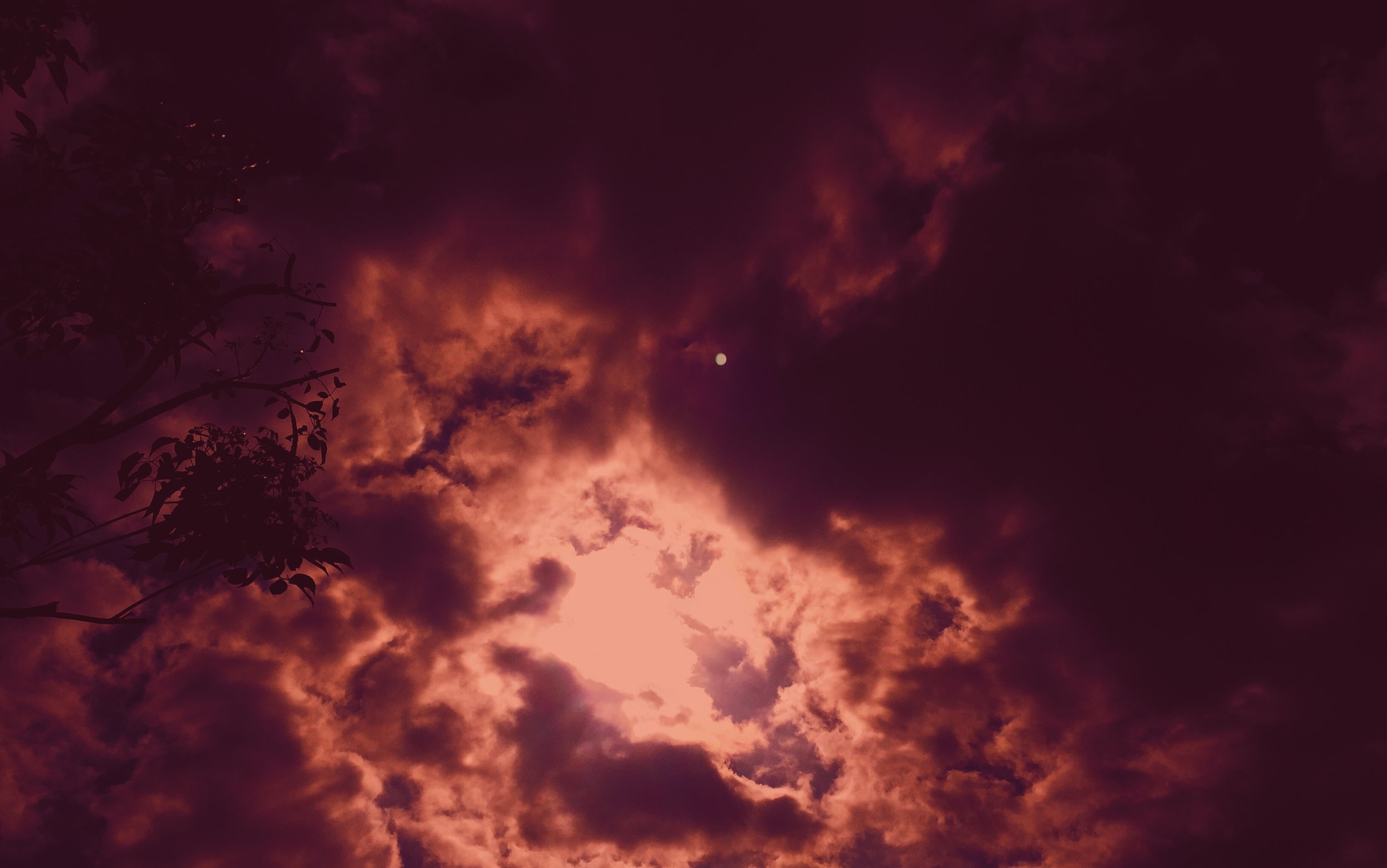 ED9DA94B-0ECE-40F8-9E3E-640A86C17B66.jpg