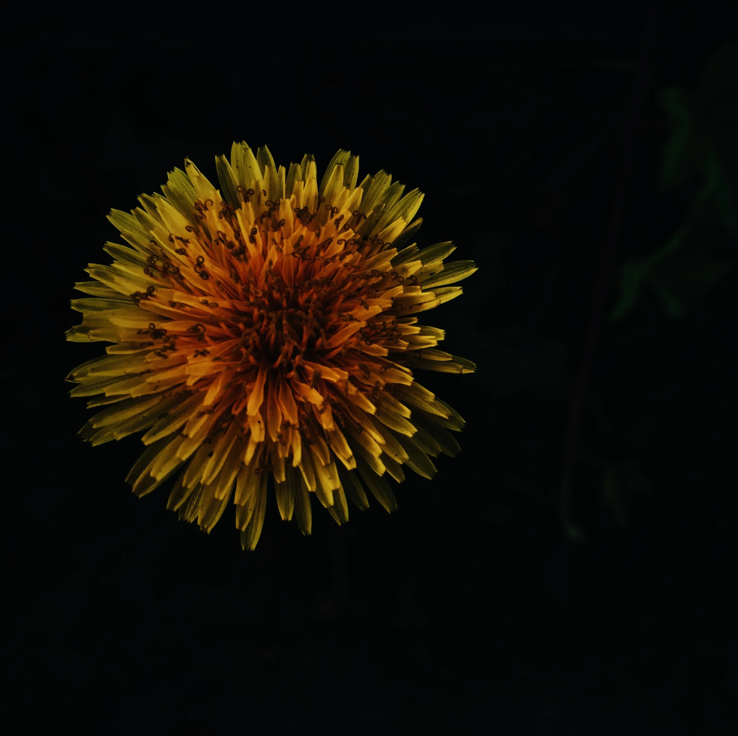 2F57A3D9-5A2E-491C-A584-97733DA8A26C.jpg