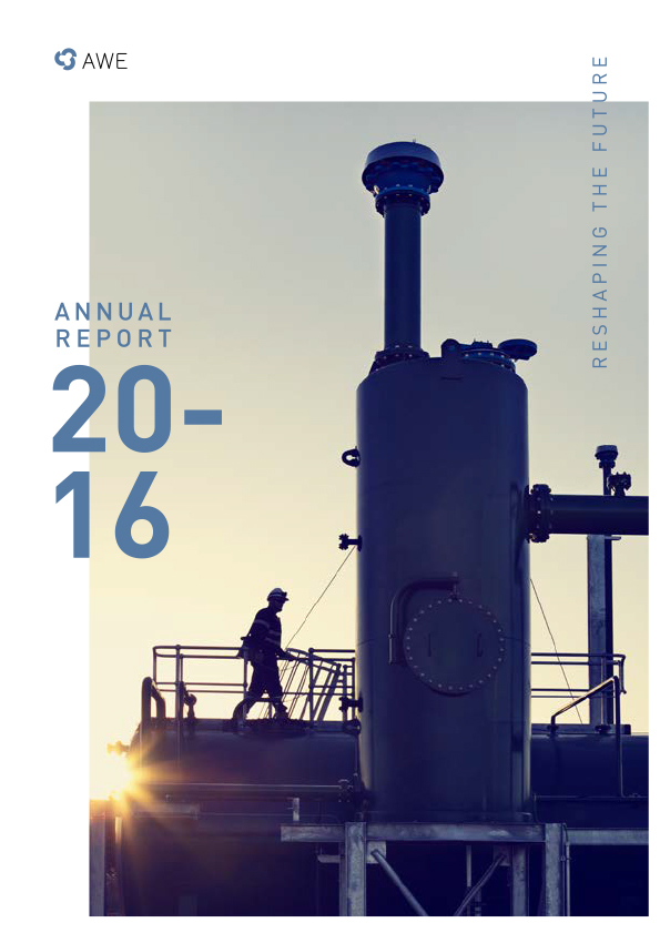 AWEs2016AnnualReport.jpg