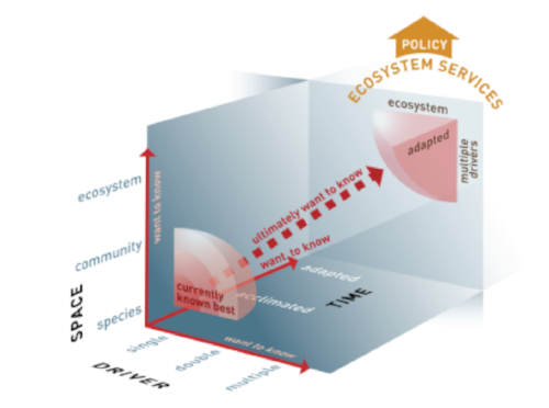 Figure 4: Present state of knowledge on Changing Ocean Biological Systems: most information on the impacts of ocean change presently available is on acclimated single species/strains under the influence of a single driver (lower left corner). Red arrows indicate the direction where we must expand our understanding. Assessment of impacts on ecosystem services, leading up to science-based policy advice, requires information on adapted responses to multiple drivers at the ecosystem level (upper right corner). From Riebesell and Gattuso (2015).